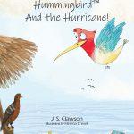 The Hawk and the Hummingbird And the Hurricane! by J S Clawson